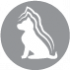 Set CLUB 4 PAWS PREMIUM FOR PUPPIES "WITH TURKEY IN GRAVY". COMPLETE CANNED PET FOOD (x4)